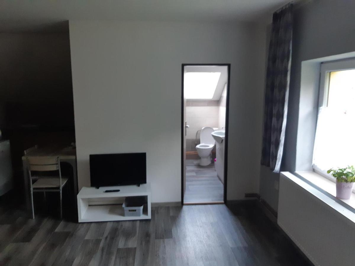 Apartmany U Mlyna Велке Лосіни Екстер'єр фото